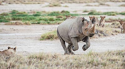 etosha