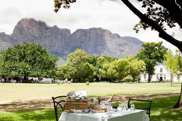 boschendal-picnic-spots-in-cape-town