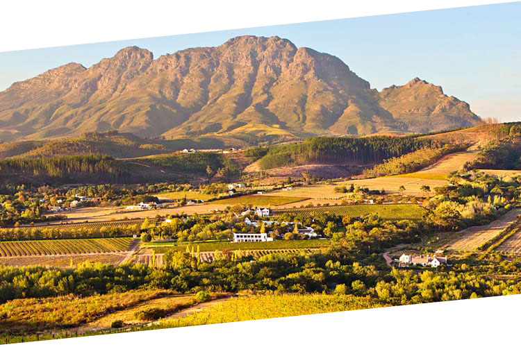 Stellenbosch wine farms - Cape town