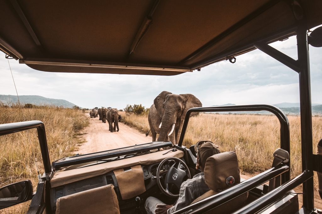 Umfolozi/ Hluhluwe Game Drive Safari Tours 